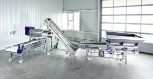 crushpad grape processing systems
